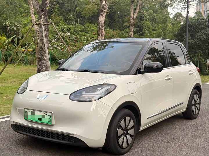 Model 333km Model
