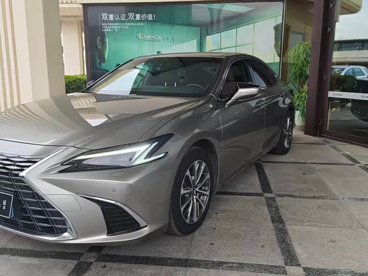 ES 2025 Model 300h Edition