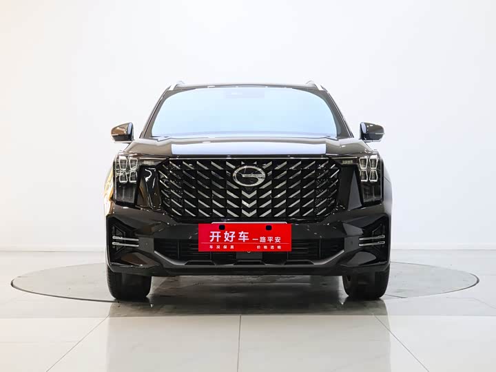 Trumpchi GS8 2025 Pilot Series 2.0TGDI two-wheel drive luxury version 5 seats
