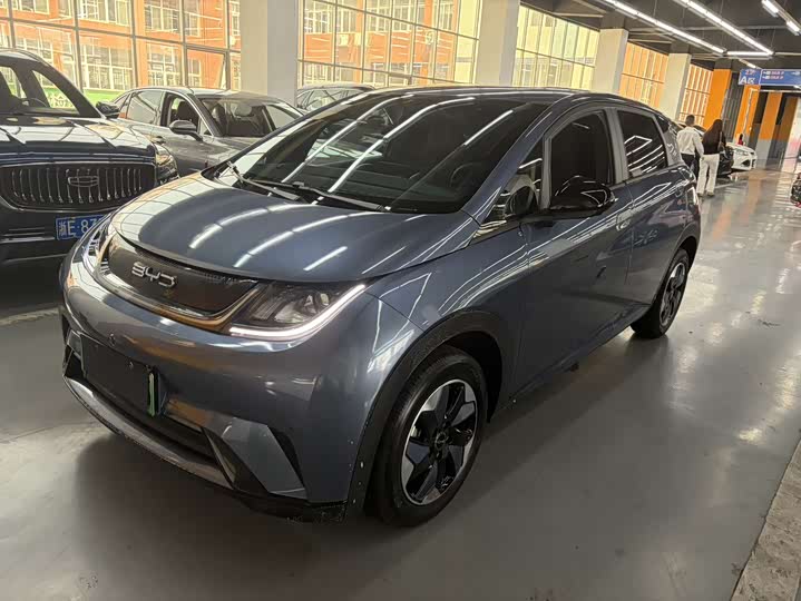 Dolphin 2025 420km Free Edition