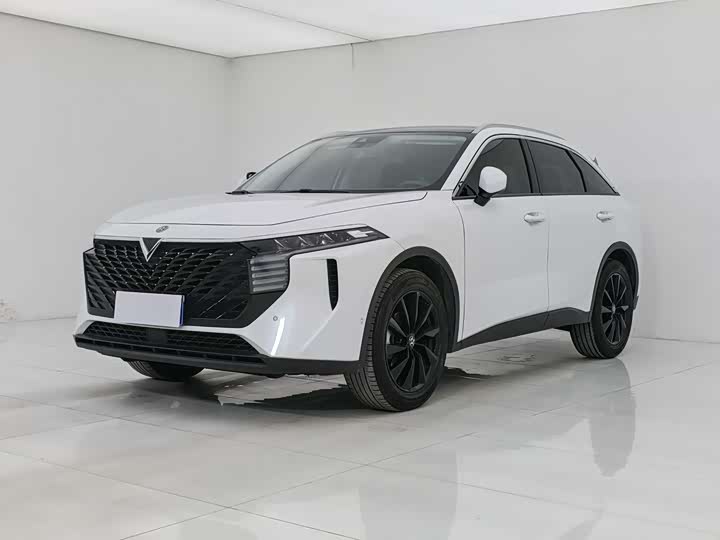 2022 Venucia V 2022 260T Dark Horse Edition┬╖King of Heaven