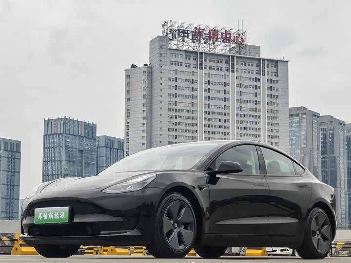 Model 3 2021 facelift standard range rear drive upgraded version 3D1