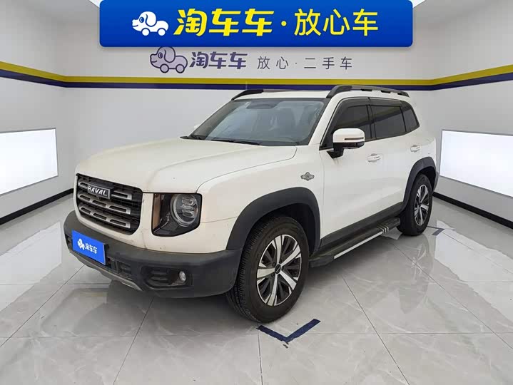 Havaldog 2021 1.5T DCT two-wheel drive Labrador version