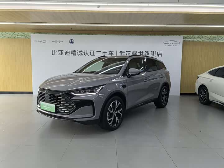 2025 Tangxin Energy 2025 DM-i 115KM flagship model