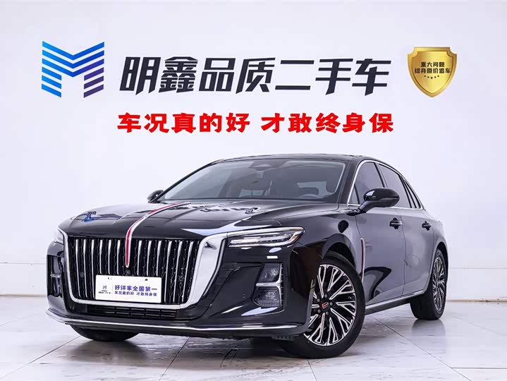 Hongqi H5 2024 2.0T Automatic Zhilianqichang Edition