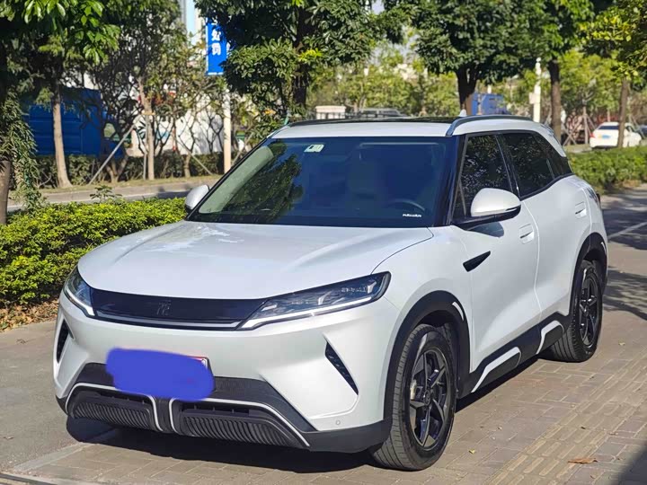 2024 Yuan UP 2024 model 401KM transcendent type
