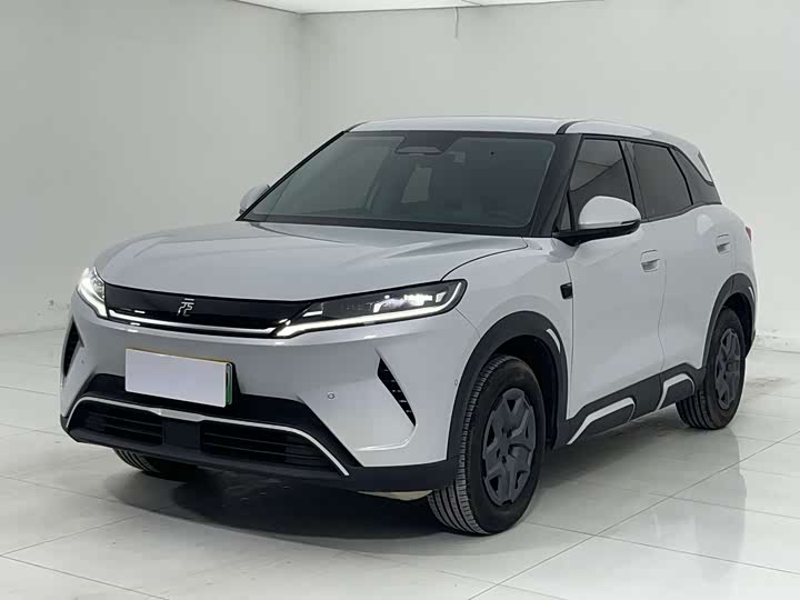 2025 Yuan UP 2025 Smart Driving Edition 401KM Vitality Edition