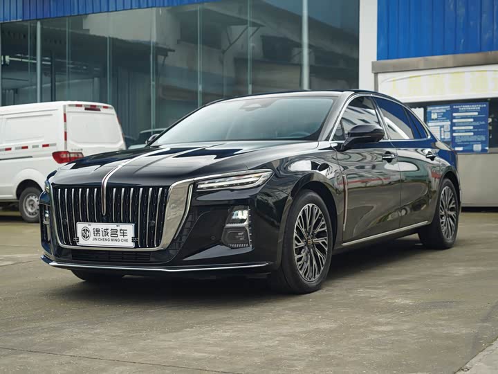 Hongqi H5 2024 2.0T Automatic Zhilianqichang Edition