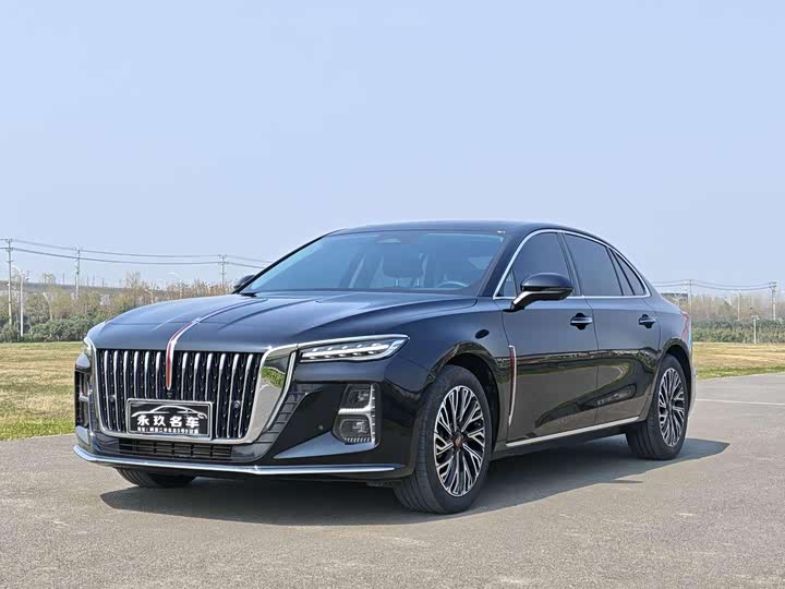 Hongqi H5 2024 2.0T Automatic Zhilianqichang Edition