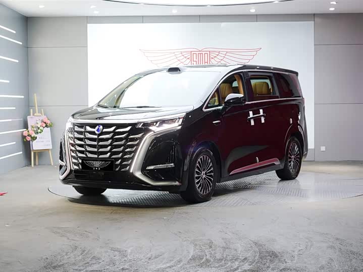2025 Denza D9 2025 DM-i smart driving version 1020 four-wheel drive flagship model