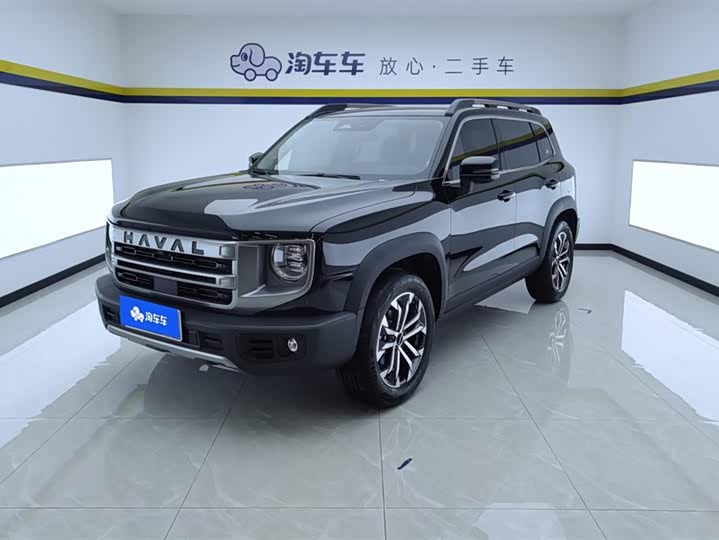 Haval Big Dog 2024 1.5T DCT Border Collie Edition