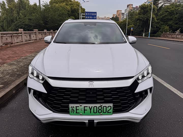 2024 Song Pro New Energy 2024 Honor Edition DM-i 110KM Transcendence