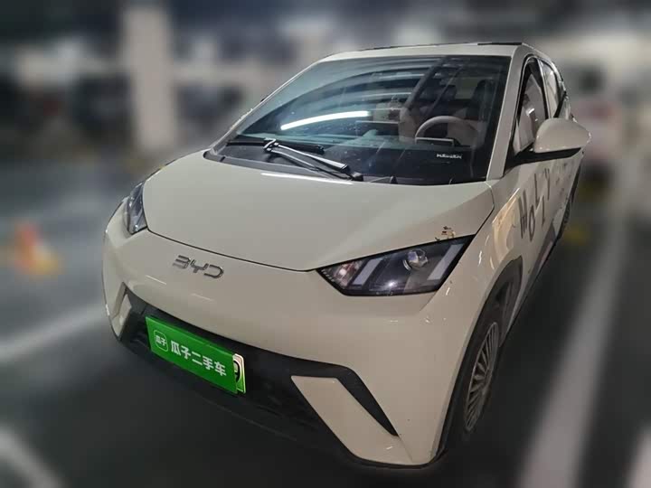 2024 Seagull 2024 Honor Edition 305km Vitality Edition