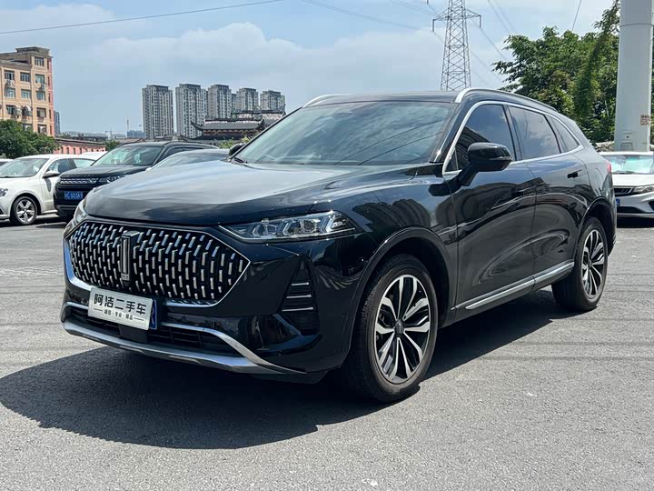 Wei brand Mocha 2021 2.0T two-wheel drive special edition