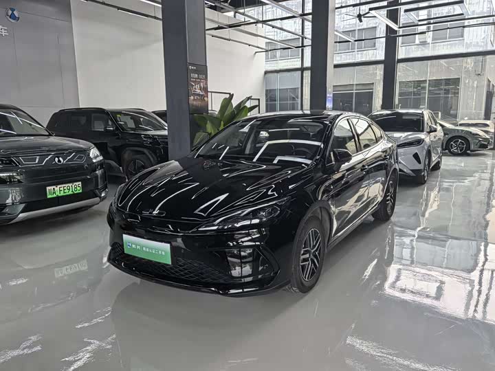 Seal 05 DM-i 2025 DM-i smart driving version 120KM flagship model