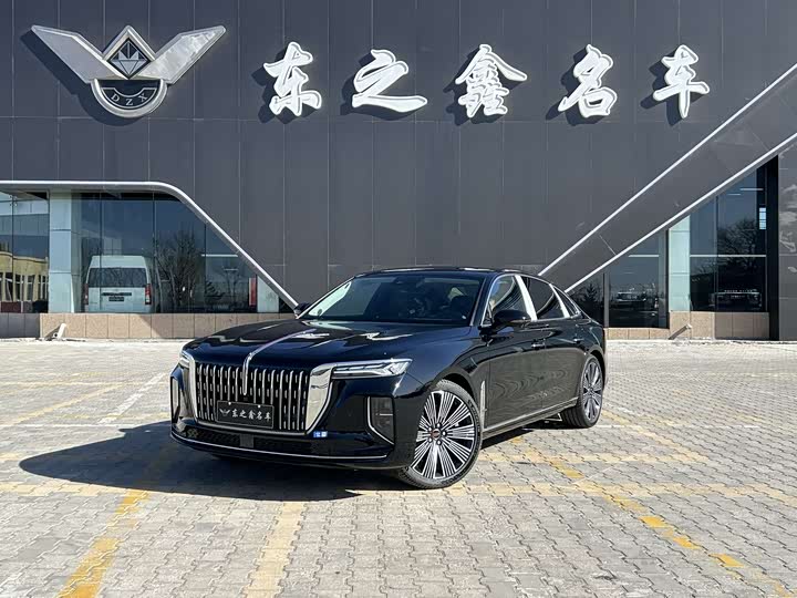 Hongqi H9 2025 2.0T two-wheel drive Qixiang luxury business version 5 seats