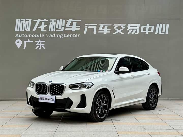 BMW X4 2022 xDrive25i M Sport Package