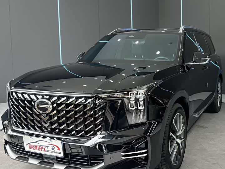 Trumpchi GS8 2025 Pilot Series 2.0TGDI two-wheel drive luxury version 5 seats