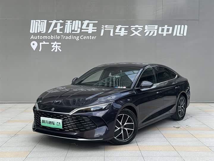 Qin L 2024 DM-i 80KM transcendent model