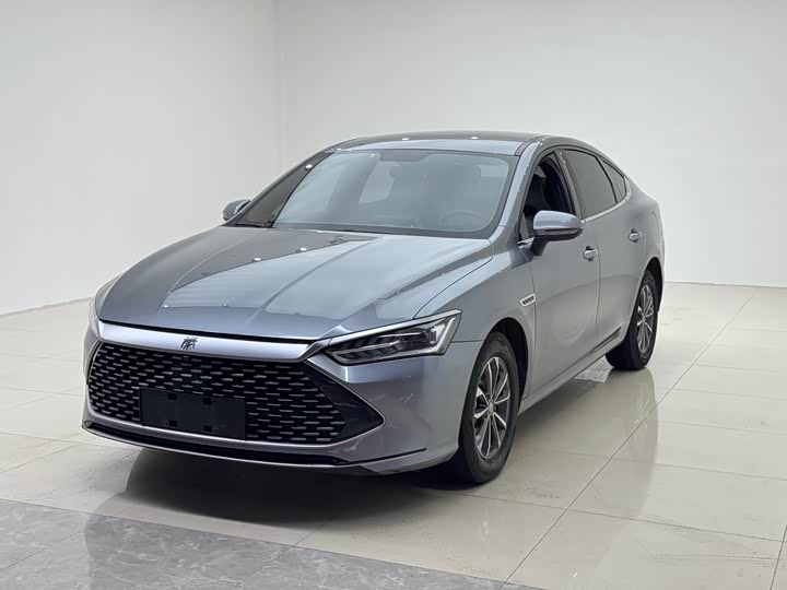 2024 Qin PLUS 2023 Champion Edition DM-i 55KM Leading Type