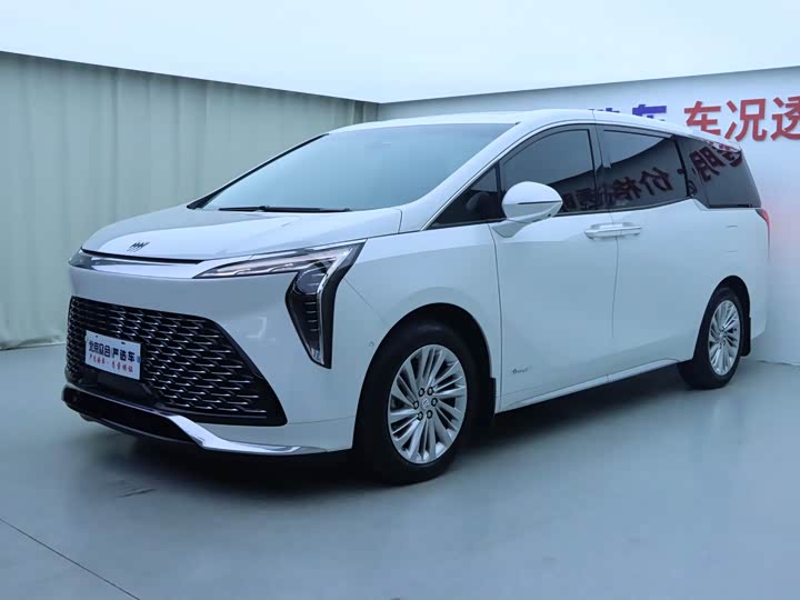 Century 2023 2.0T Six-Seater Yunshi Edition