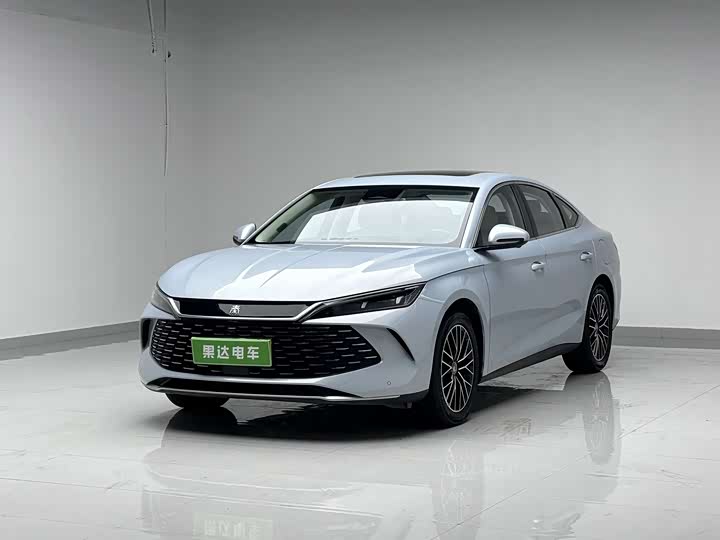Qin L 2024 DM-i 120KM Excellent Type
