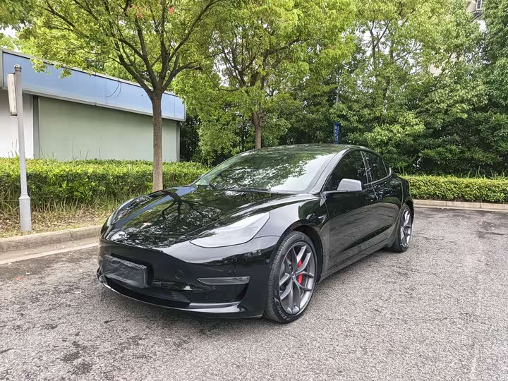 Model 3 2021 Performance high-performance all-wheel drive version 3D6