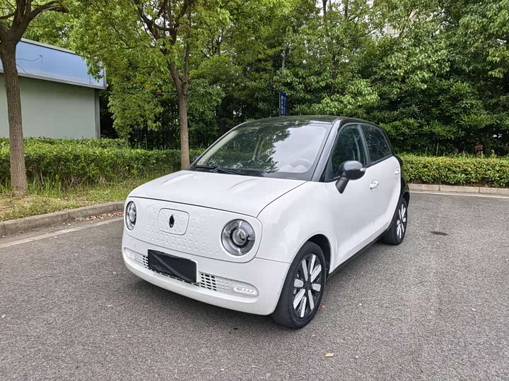 Euler Black Cat 2021 405km long range model