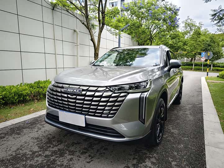 Haval H6 2024 2.0T four-wheel drive Max