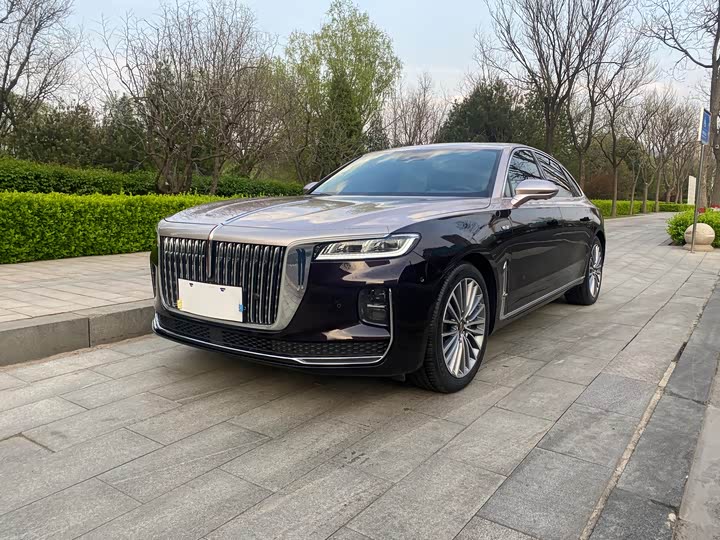 Hongqi H9 2020 3.0T Zhilian Qichang Edition