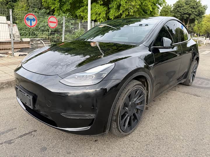 2021 Model Y 2021 standard range rear-wheel drive version