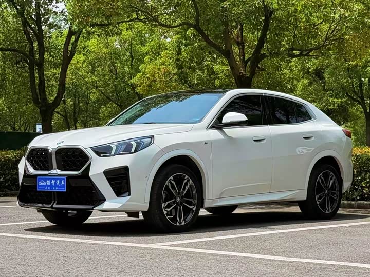 BMW X2 (Imported) 2024 sDrive25i M Sports Package