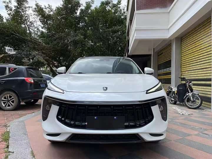 2022 Fengxing T5 EVO 2021 1.5TD DCT Platinum Edition Heat Wave