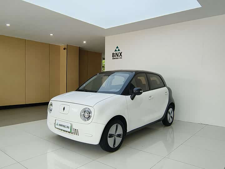 Euler Black Cat 2022 301km basic model ternary lithium