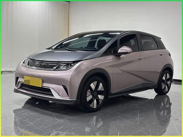 Dolphin 2021 401km Knight Edition