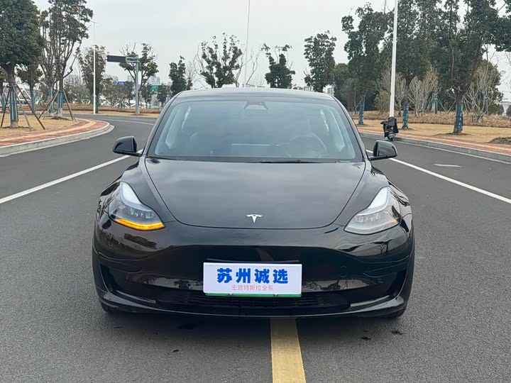Model 3 2022 rear-wheel drive version
