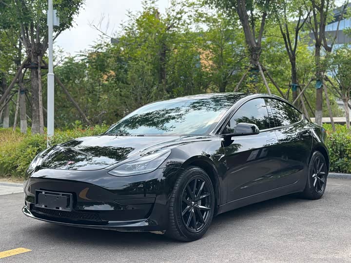 Model 3 2021 facelift standard range rear drive upgraded version 3D1