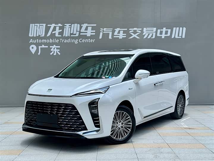 Buick GL8 New Energy 2024 Lu Zun Exclusive Edition 7 seats