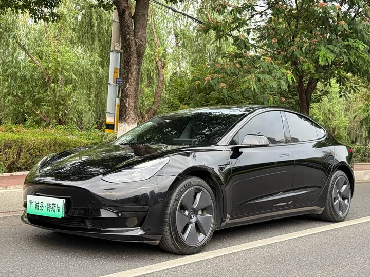 Model 3 2022 rear-wheel drive version