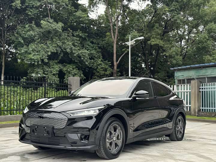 2022 Ford Electric Horse 2021 Rear-wheel drive version (standard range)