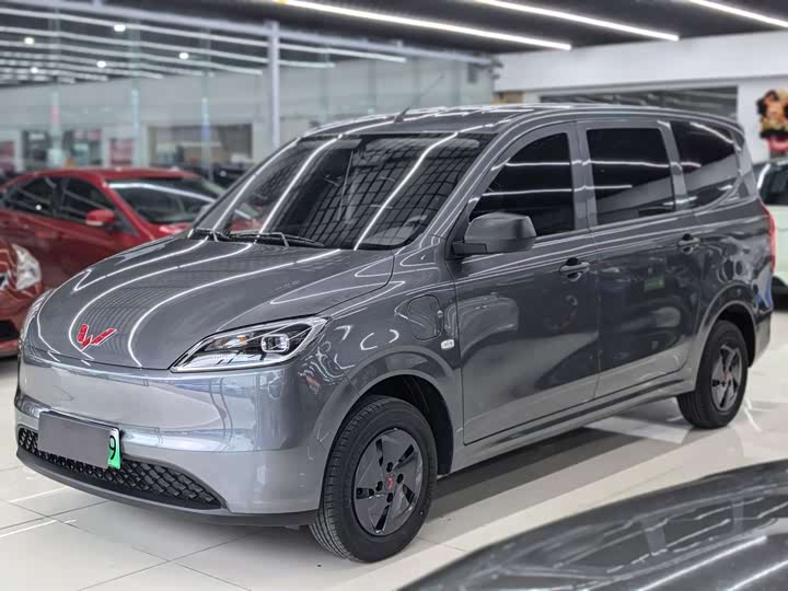 Wuling Hongguang New Energy 2024 Pure Electric Version 300KM Standard Type