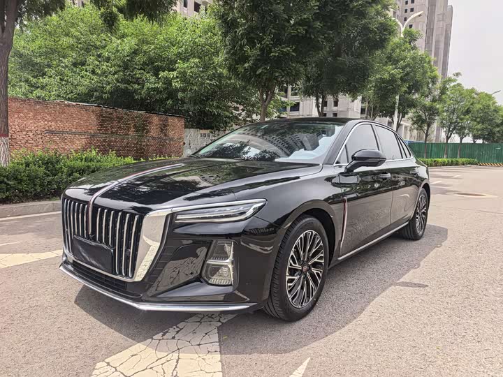 Hongqi H5 2024 2.0T Automatic Zhilianqichang Edition