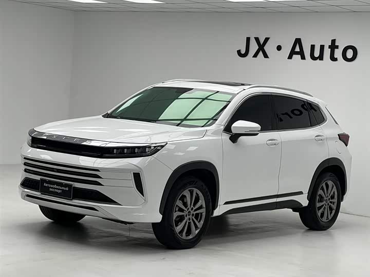 Xingtu Chasing the Wind 2022 Riding the Wind and Waves Edition 1.5T CVT Good Things Peanut Edition