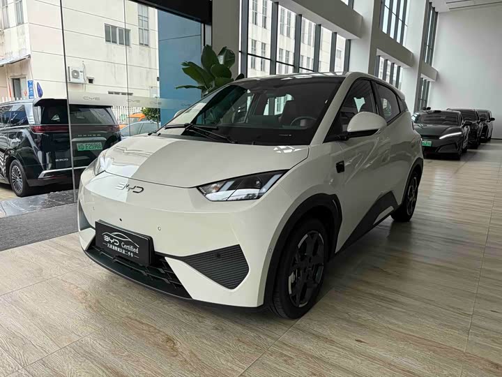 Seagull 2025 smart driving version 405km free version