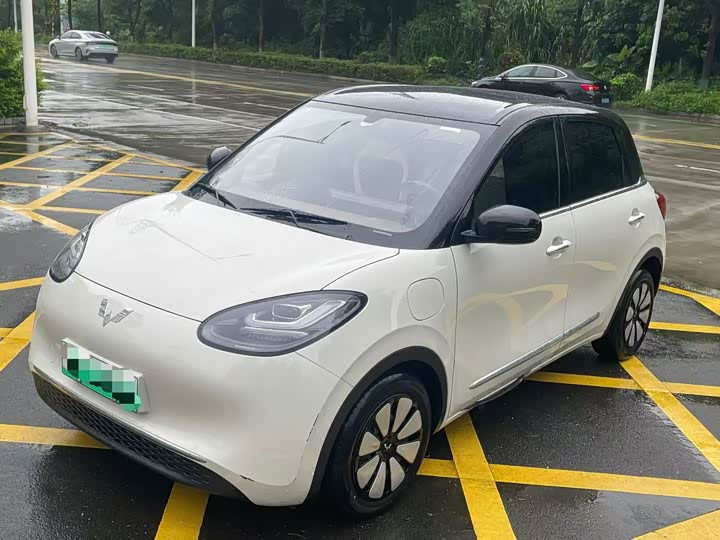 Wuling Bingo 2024 model 333km Yuexiang model