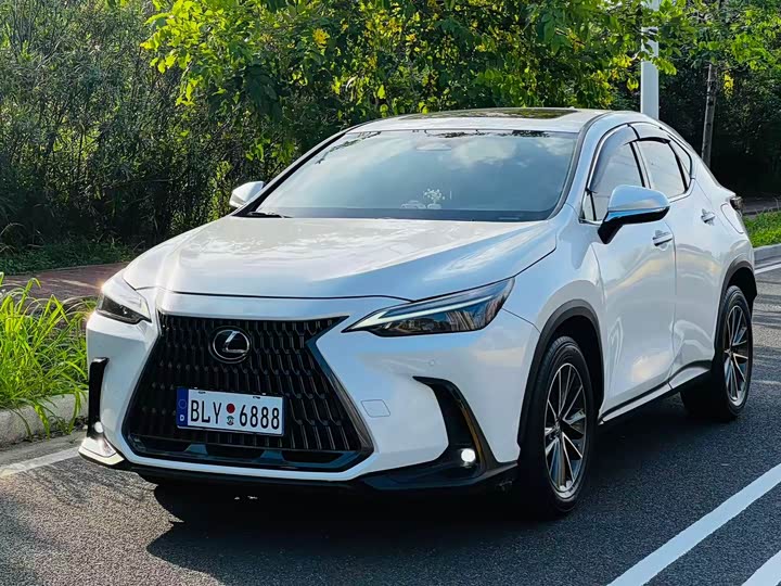 Lexus NX 2024 260 front-wheel drive Chuangyue Edition