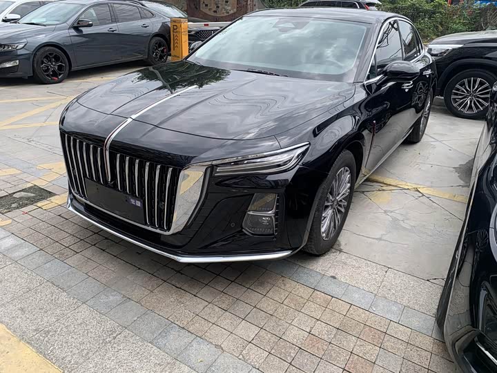 Hongqi H5 2023 2.0T Automatic Zhilianqichang Edition