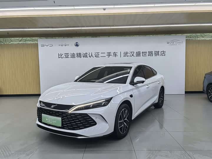 Qin L 2025 DM-i smart driving version 120KM leading model
