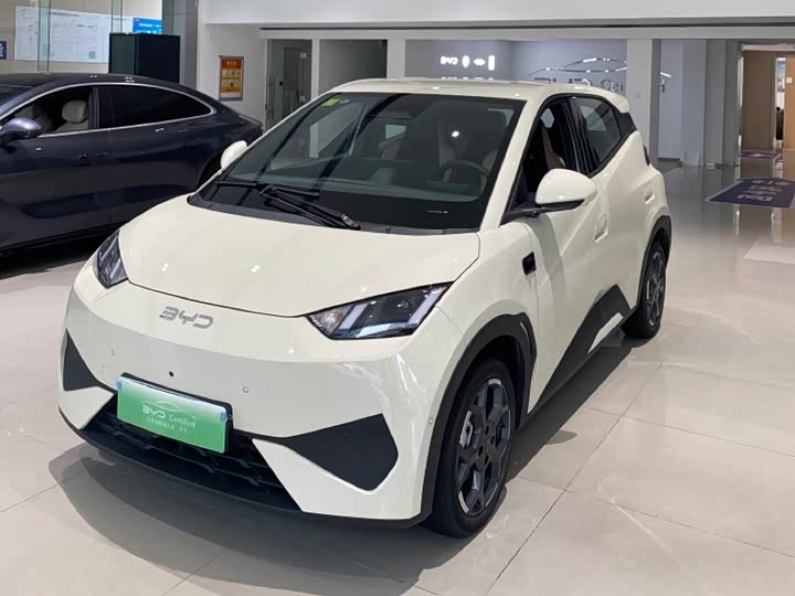 Seagull 2025 smart driving version 305km free version