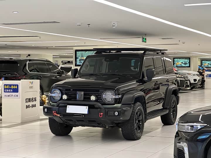 Tank 300 2021 Off-Road Version 2.0T Conqueror